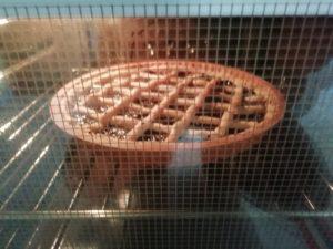 Crostata con marmellata in forno