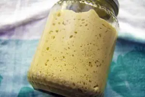 Lievito madre - fermentazione